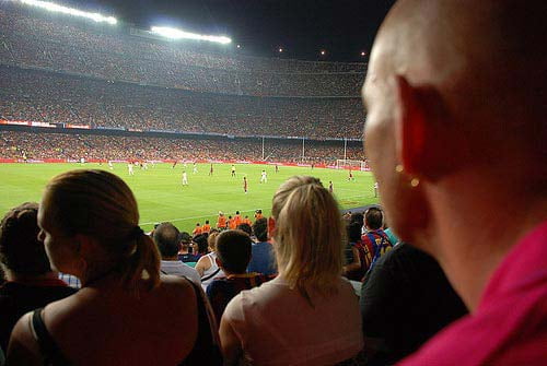 Zicht op het veld (S. Vink)